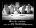 /album/fotogaleria/a66784-398689383571741-524942678-n-jpg1/